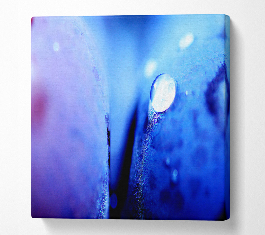  A Canvas Print of Blue Petal Water Droplet Canvas Wall Art