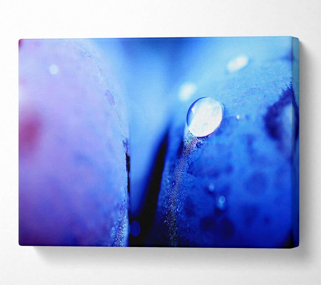 A Canvas Print of Blue Petal Water Droplet Canvas Wall Art