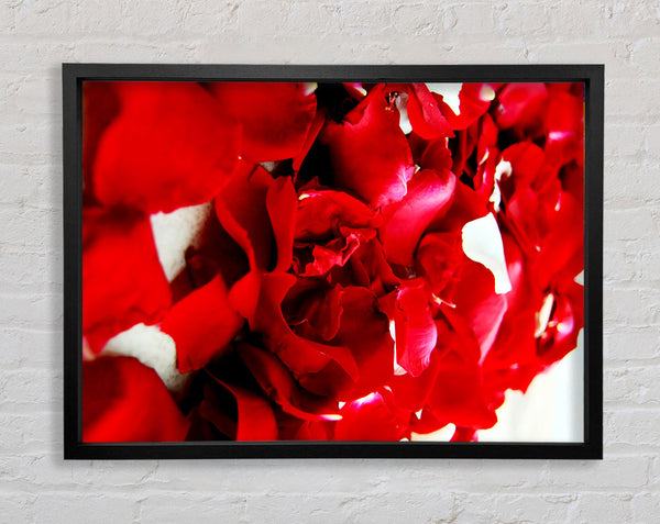 Red Galore Framed Print