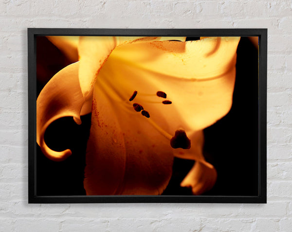 Cocoa Sun Blaze Framed Print