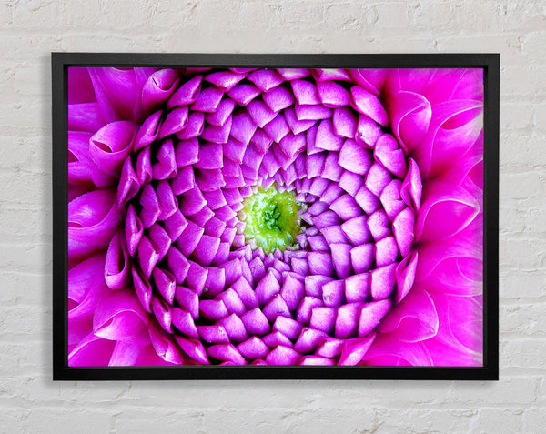 Pink Petal Ocean Framed Print
