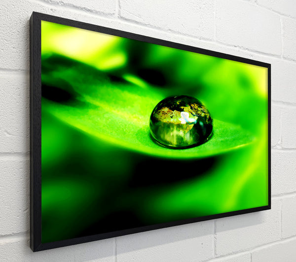 Green Leave Water Droplet
