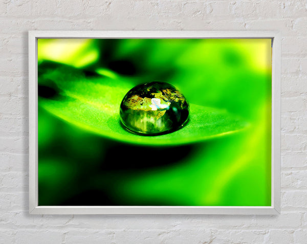 Green Leave Water Droplet Framed Print