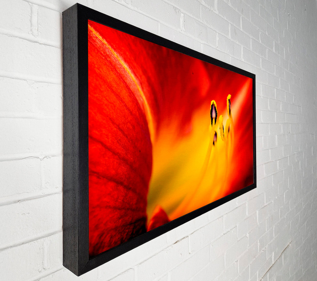  A Canvas Print of Close-Up Of Beauty Canvas Wall Art