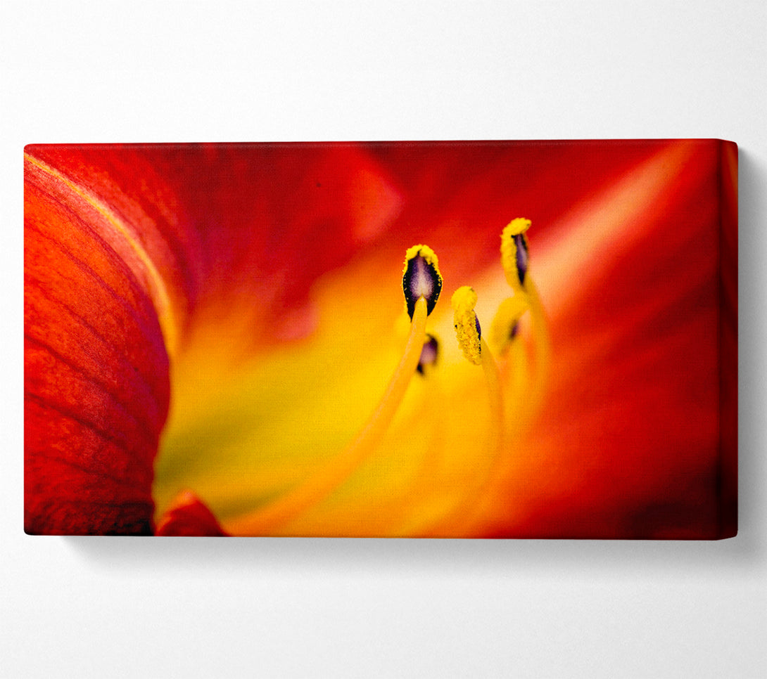  A Canvas Print of Close-Up Of Beauty Canvas Wall Art