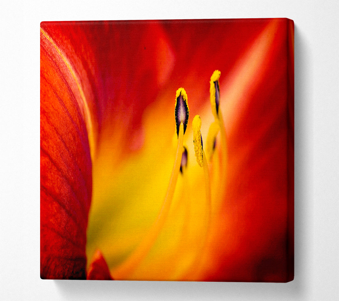  A Canvas Print of Close-Up Of Beauty Canvas Wall Art