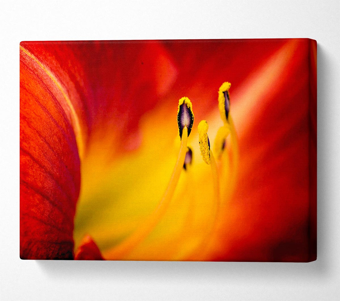  A Canvas Print of Close-Up Of Beauty Canvas Wall Art