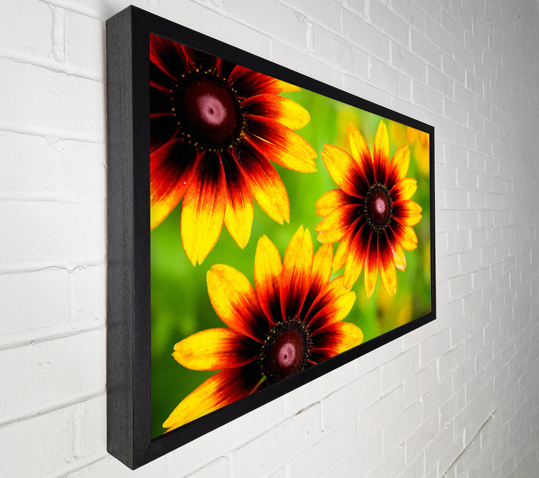 A Canvas Print of Sun Flower Garden Canvas Wall Art
