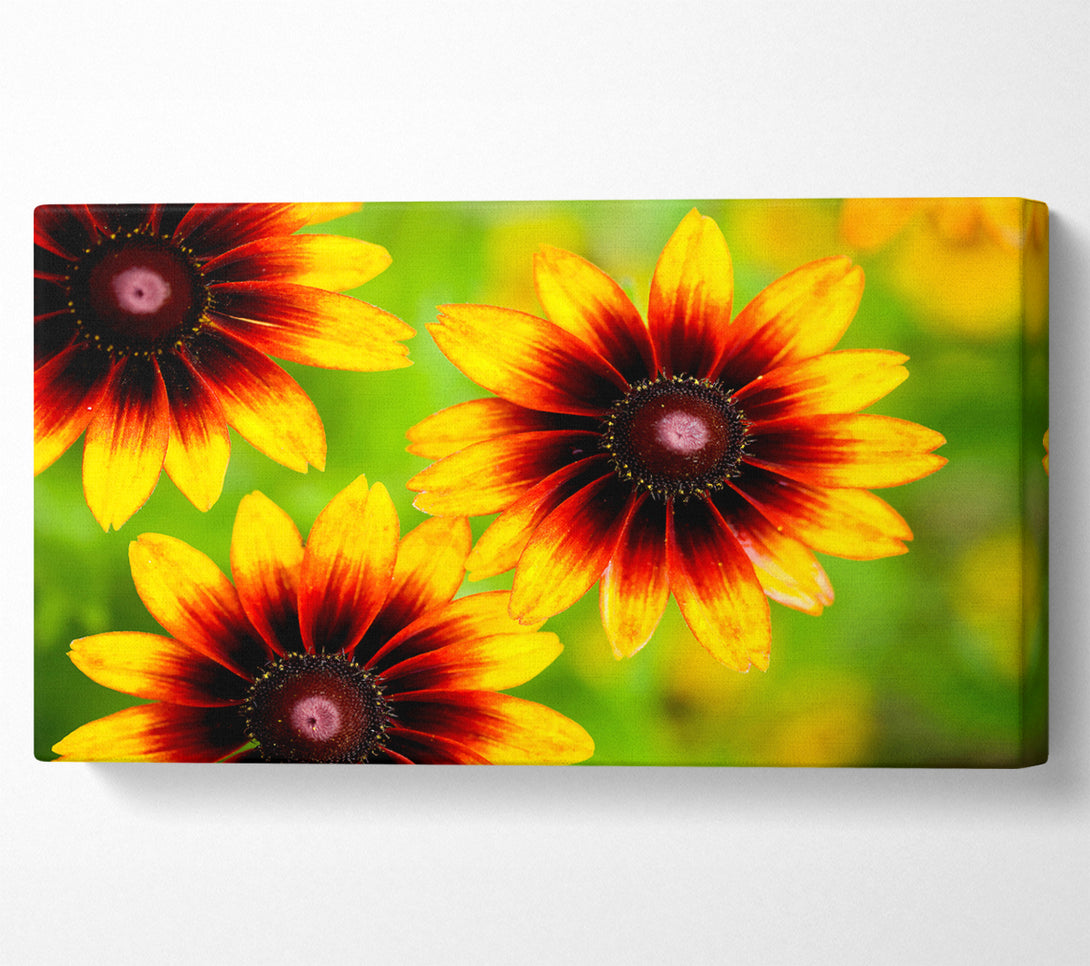  A Canvas Print of Sun Flower Garden Canvas Wall Art