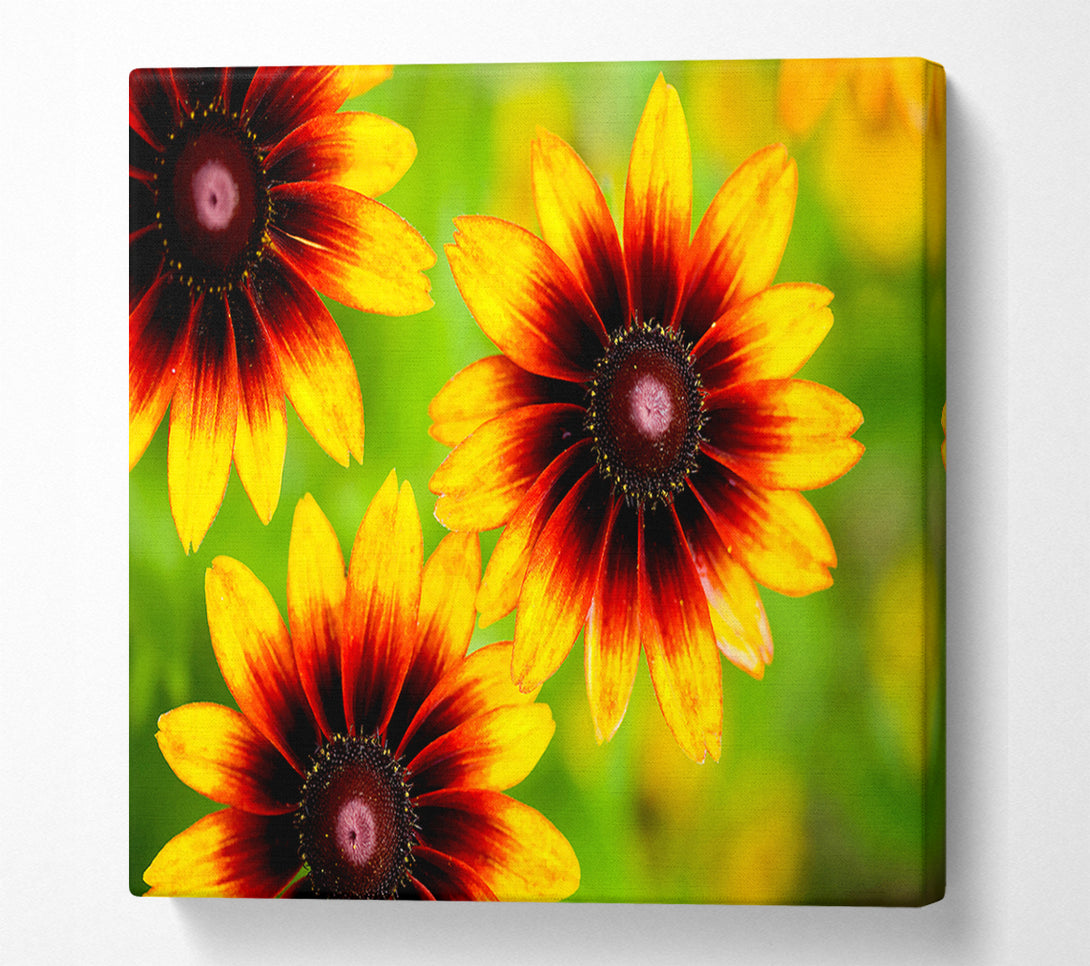  A Canvas Print of Sun Flower Garden Canvas Wall Art
