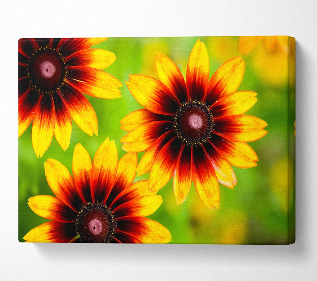  A Canvas Print of Sun Flower Garden Canvas Wall Art