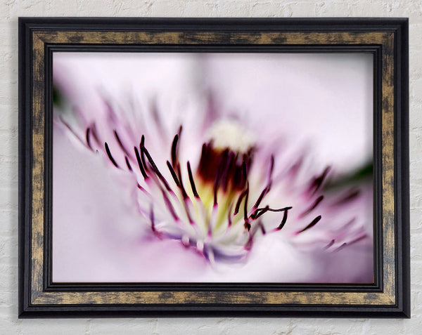 Pink Heaven Centre Framed Print