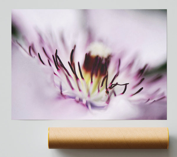 Pink Heaven Centre Giclee Print