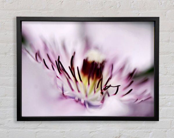 Pink Heaven Centre Framed Print