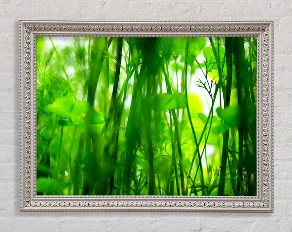 Fairies Green Jungle Framed Print