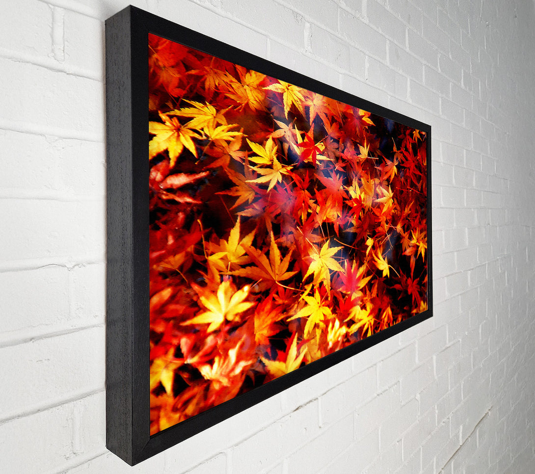  A Canvas Print of Autumn Spray Canvas Print