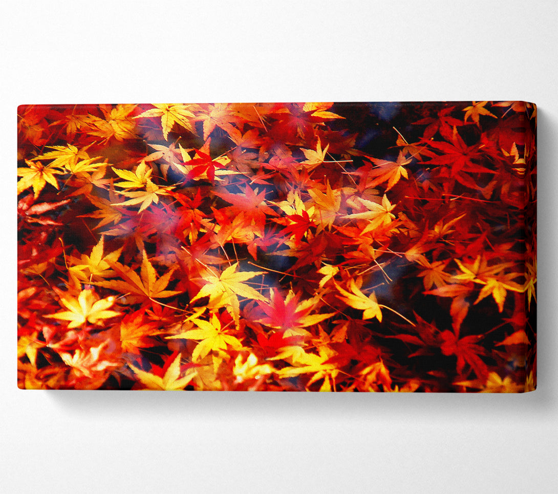  A Canvas Print of Autumn Spray Canvas Print