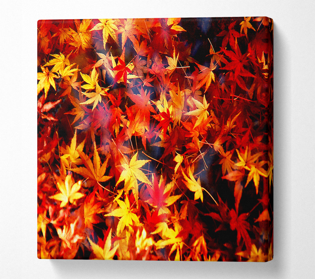  A Canvas Print of Autumn Spray Canvas Print