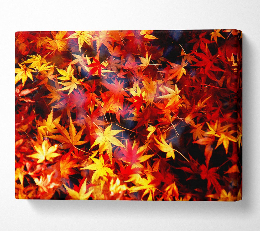  A Canvas Print of Autumn Spray Canvas Print