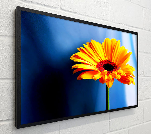 Single Orange Gerbera