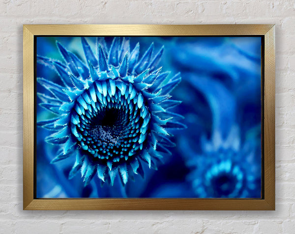 Blue Sunflower Framed Print