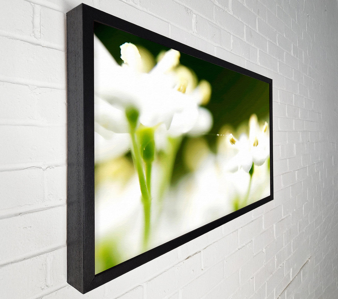  A Canvas Print of White Flower Heaven With Web Canvas Wall Art