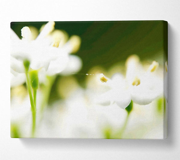 White Flower Heaven With Web Canvas Wall Art