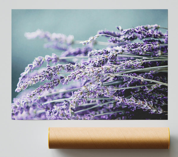 Heather Giclee Print