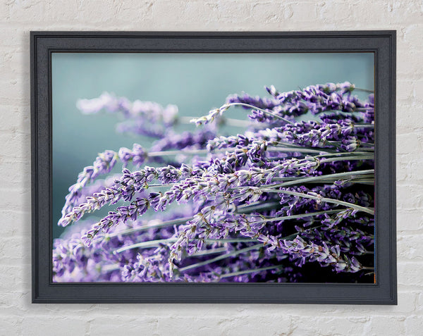 Heather Framed Print