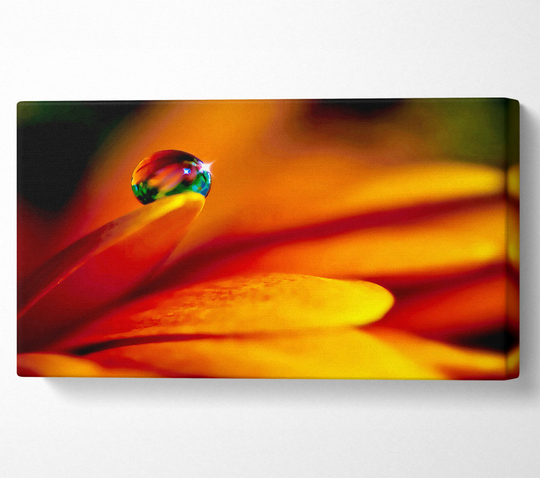  A Canvas Print of Fire Petal Reflection Canvas Print