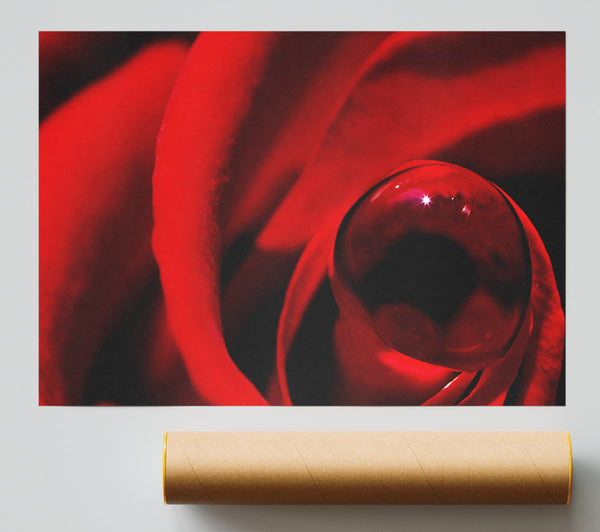 Red Rose Center Dew Giclee Print