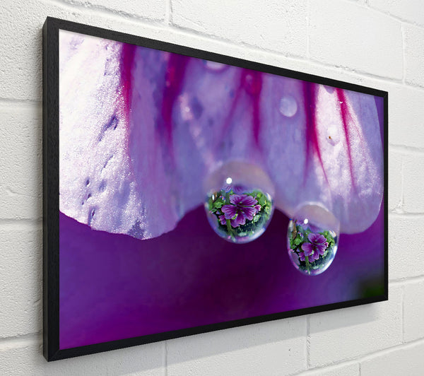 Reflections Of A Water Droplet