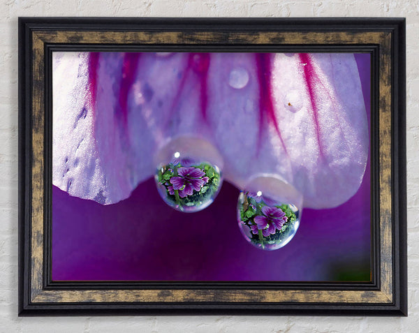 Reflections Of A Water Droplet Framed Print