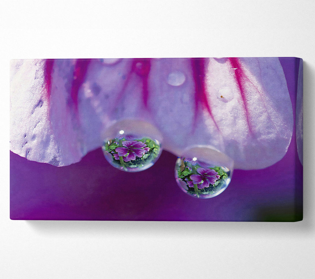  A Canvas Print of Reflections Of A Water Droplet Canvas Print