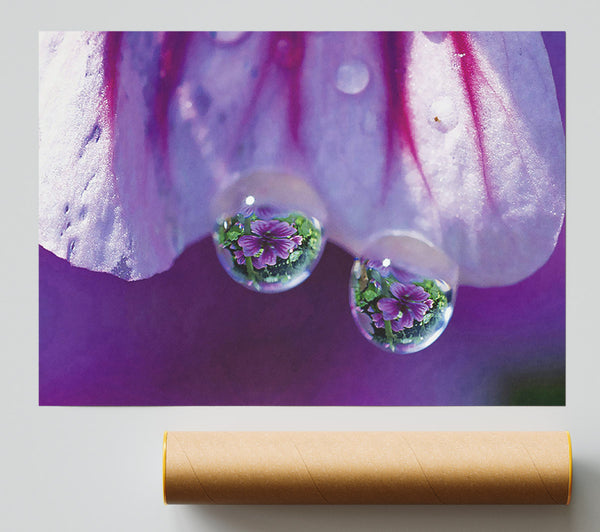 Reflections Of A Water Droplet Poster