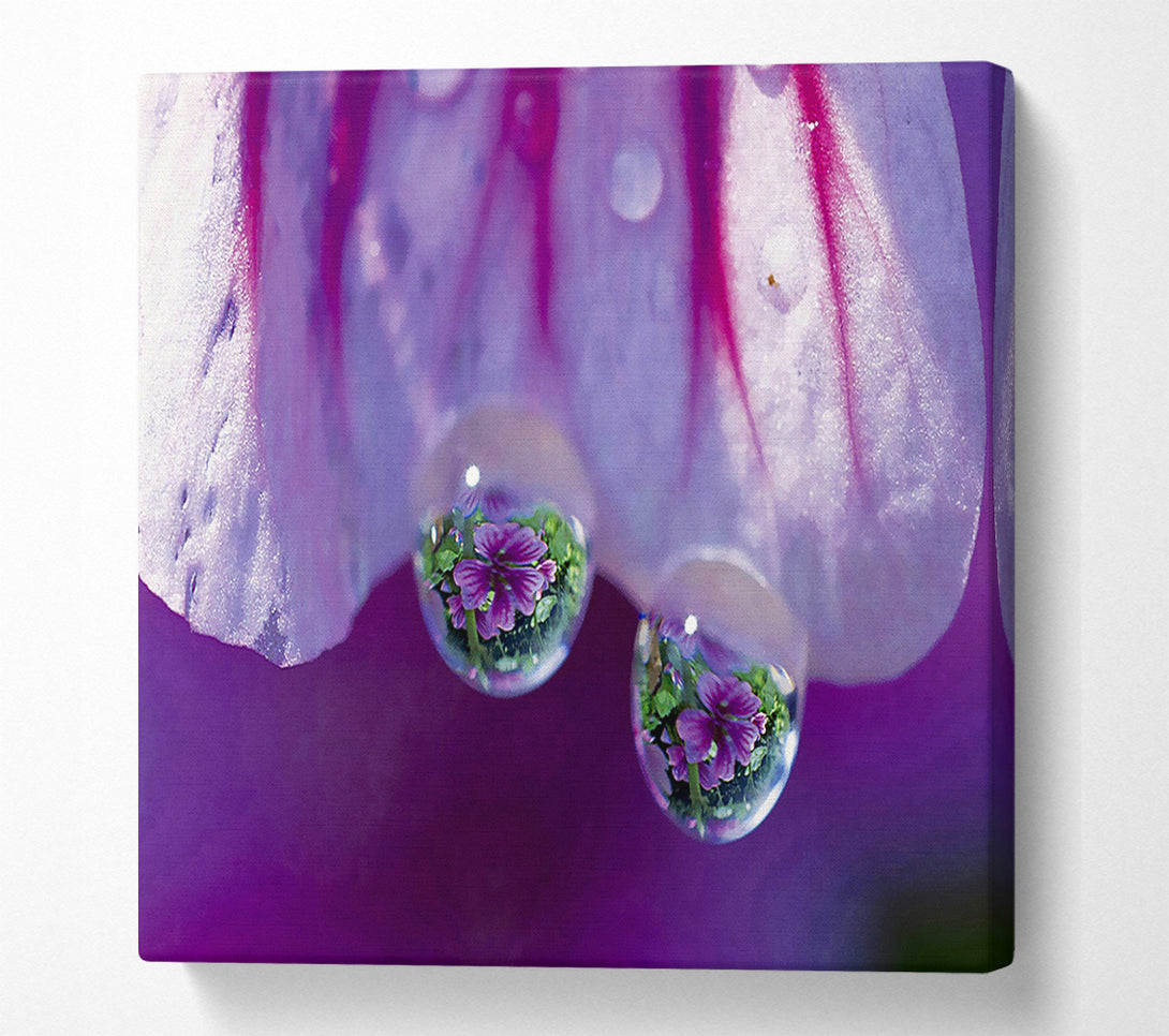  A Canvas Print of Reflections Of A Water Droplet Canvas Print