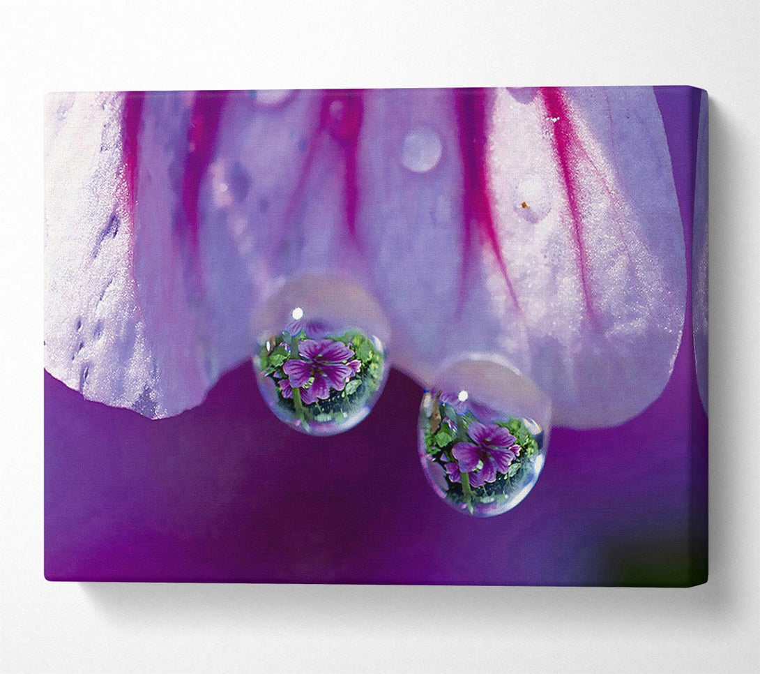  A Canvas Print of Reflections Of A Water Droplet Canvas Print