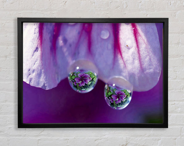 Reflections Of A Water Droplet Framed Print