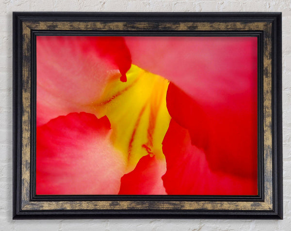 The Flowers Core Framed Print