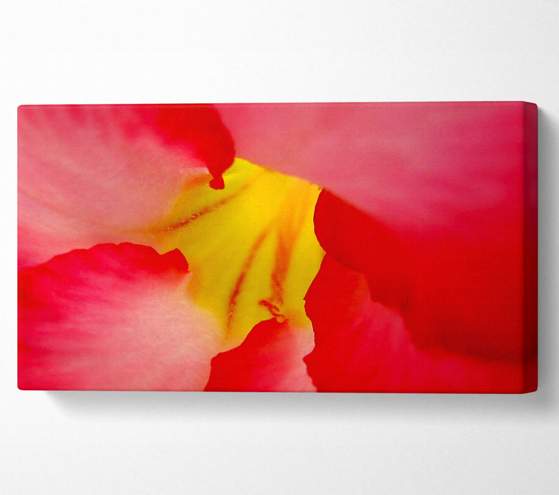  A Canvas Print of The Flowers Core Canvas Art