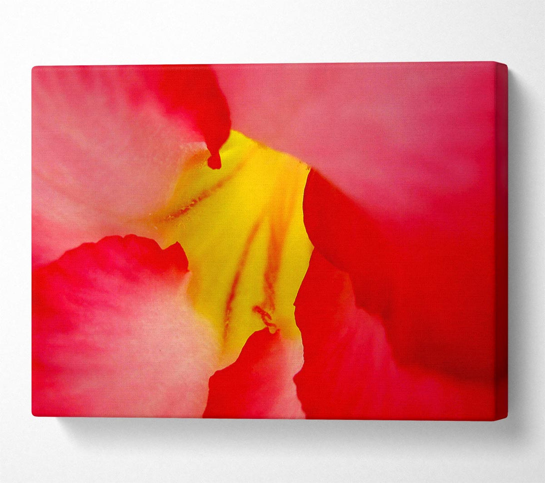  A Canvas Print of The Flowers Core Canvas Art