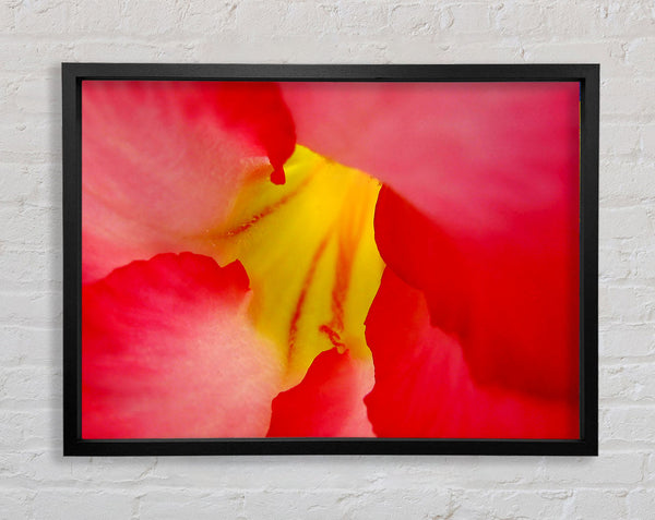 The Flowers Core Framed Print