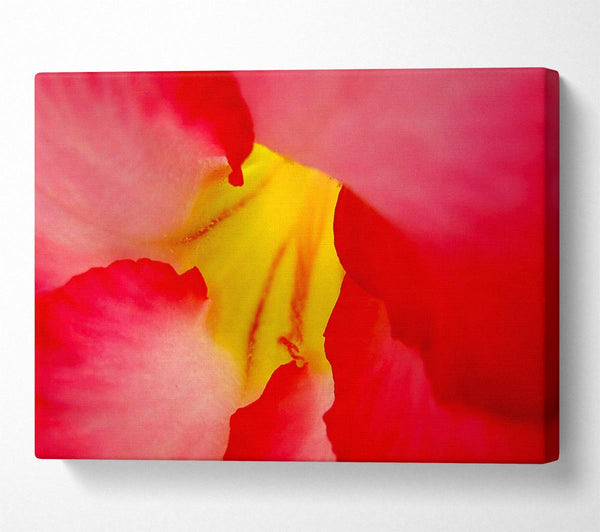 The Flowers Core Canvas Art