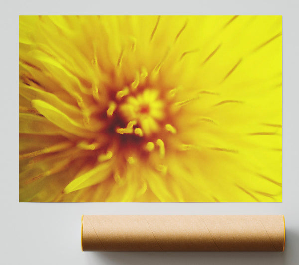 Yellow Beauty Print