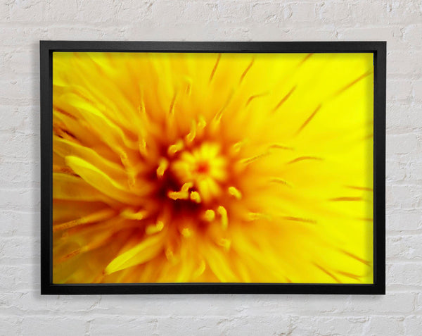 Yellow Beauty Framed Print