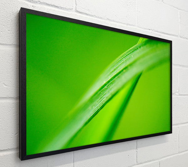 Green On Green