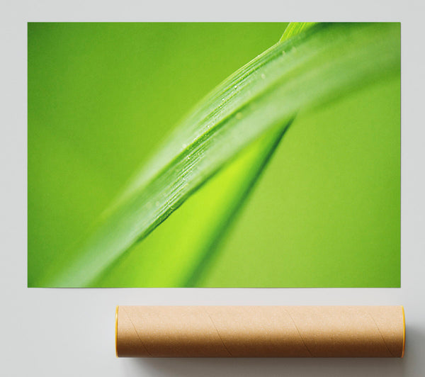 Green On Green Print
