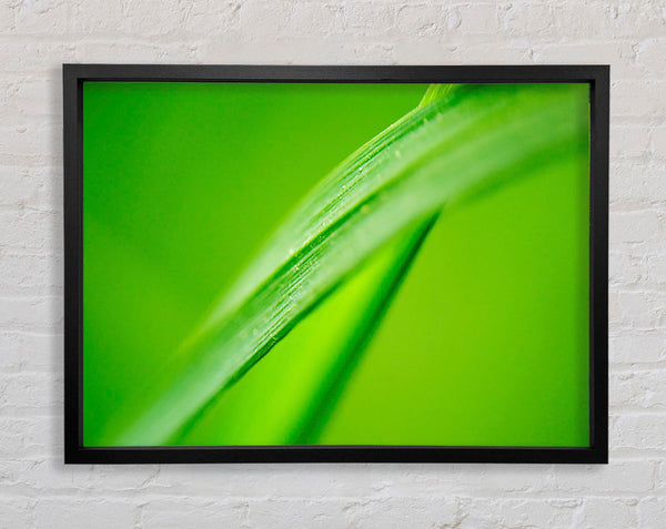 Green On Green Framed Print