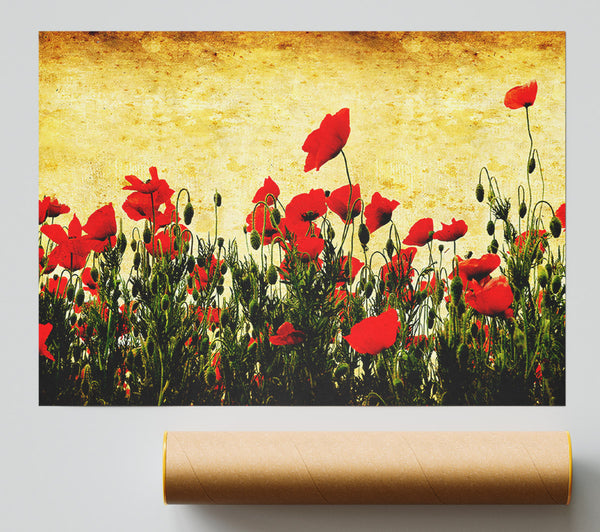 Poppy Field Golden Skys Poster