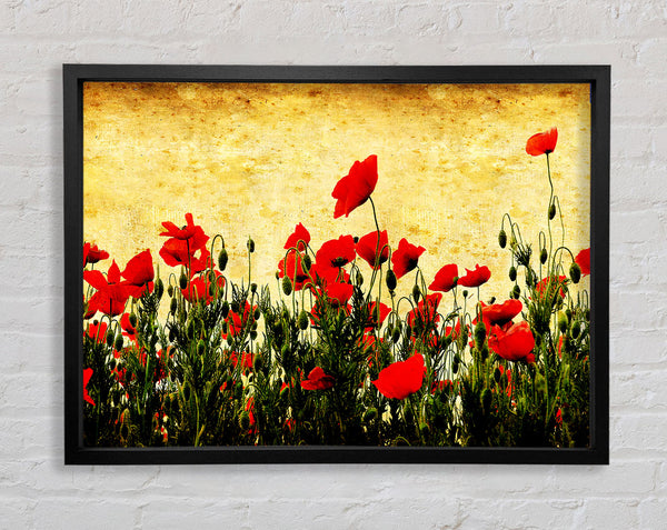 Poppy Field Golden Skys Framed Print